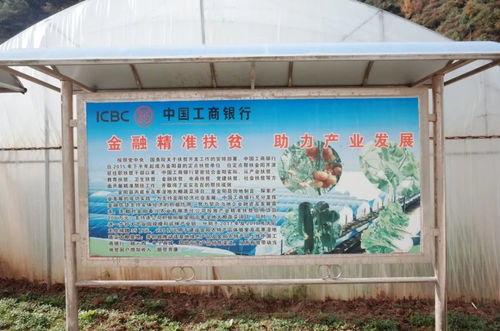 扶貧無小事,走進(jìn)工行扶貧人的一天