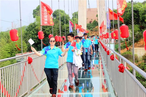 常州團建活動服務 常州團建活動方案定制 龍鳳谷拓展團建中心