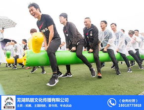 企業團隊拓展 團隊拓展 蕪湖凱朋拓展訓練 查看