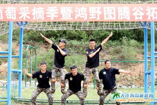 葡萄飄香喜豐收，采摘休閑正當(dāng)時(shí)——大連鴻野莊園葡萄園拓展訓(xùn)練體驗(yàn)