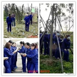 展主業前進氣勢，亮瑞貝卡人風采——發制品股份公司拓展訓練第二波再燃團隊激情